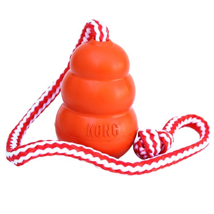 Kong Aqua Dog Toy - ORAN M