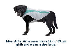 Ruffwear Swamp Cooler Cooling Dog Vest - BLUE Large
