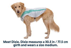 Ruffwear Swamp Cooler Cooling Dog Vest - BLUE Medium