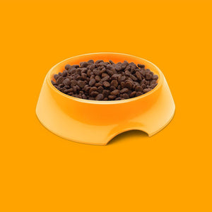 Symply Fresh Chicken All Lifestages Dry Cat Food -
