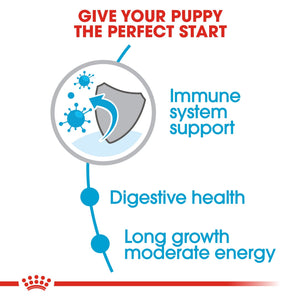 Size Health Nutrition Maxi Puppy 15 kg