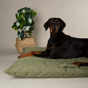 Scruffs Expedition Memory Pillow Dog Bed - Khaki Green X-Large