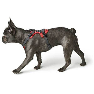 Hunter Divo Dog Harness - DARK BLUE L/XL