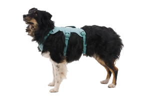 Ruffwear WebMaster Dog Harness - Blaze Orange S