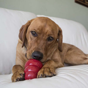 Kong Snacks Liver Recipe Dog Toy - L