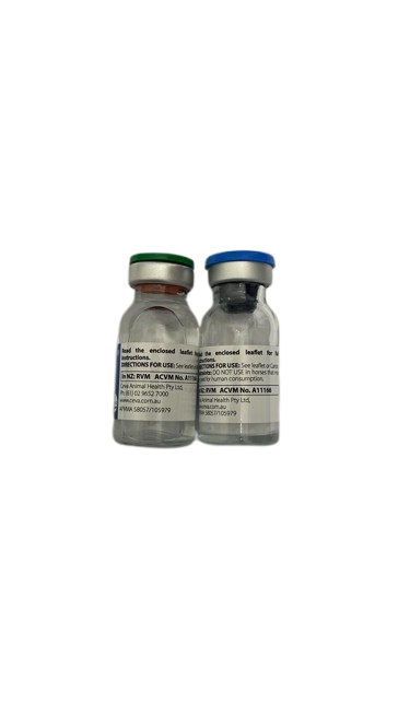 TILDREN 50mg 10ml ( 1piece)