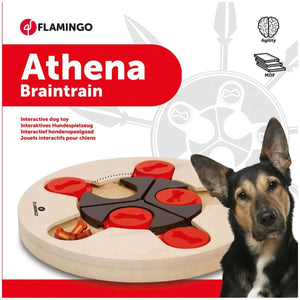 Flamingo Athena Brain Train Interactive Dog Toy - 25CM