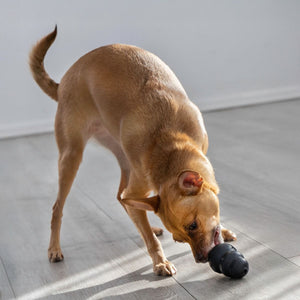 Kong Extreme Dog Toy - S