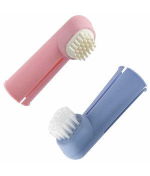 Groom Professional Dental Care Kit