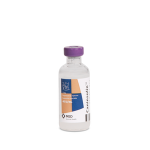 Caninsulin 10 ml