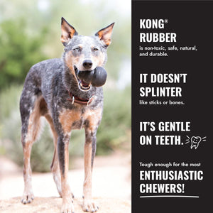 Kong Extreme Dog Toy - S