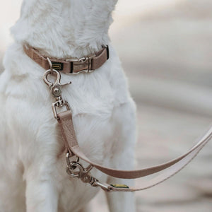 Hunter Inari Adjustable Training Dog Leash - Beige 20/200