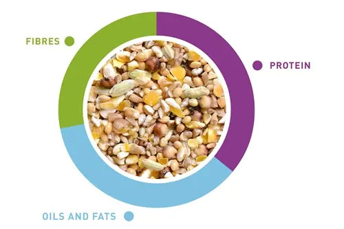 Padovan Naturalmix Tortore 5Kg