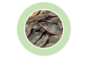 Padovan Fishes 160gm