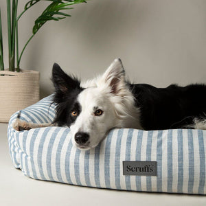Scruffs Coastal Box Dog Bed - Blue Large