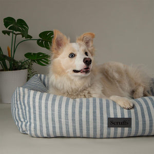 Scruffs Coastal Box Dog Bed - Blue X-Large