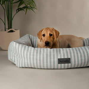 Scruffs Coastal Box Dog Bed - Green X-Large