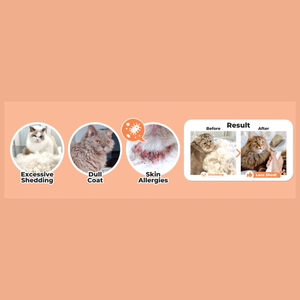 Altimate Pet Supplement for Cats – Anti Shedding Powder 150g