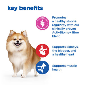 Hill’s Vet Essentials Multi-Benefit + Digestion Adult Small & Mini Dog Food with Chicken (2KG)