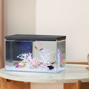 Boyu Pawgether GR-2s WIFI Desktop Aquarium 450x250x325mm (30L)