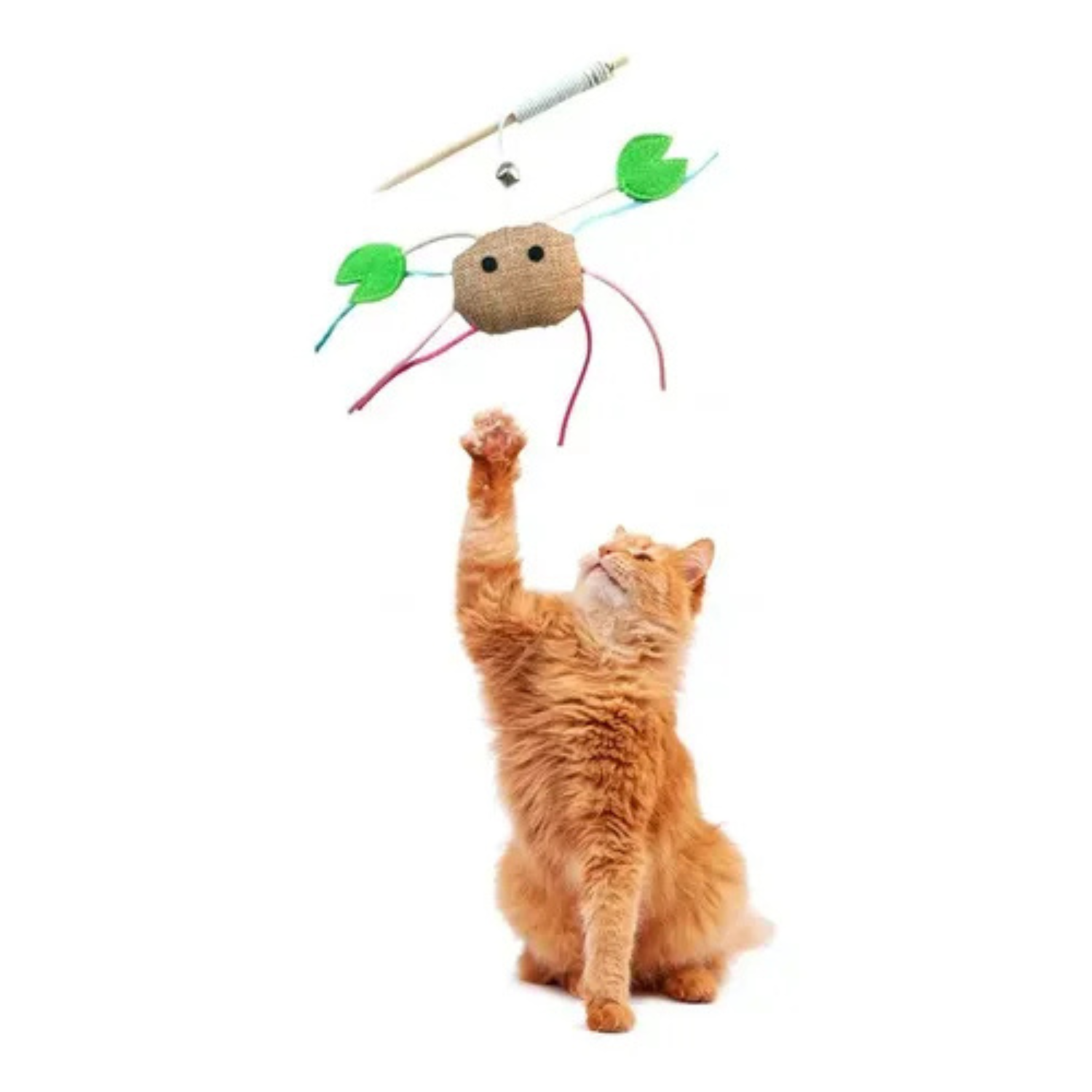 Catry Cat Toy