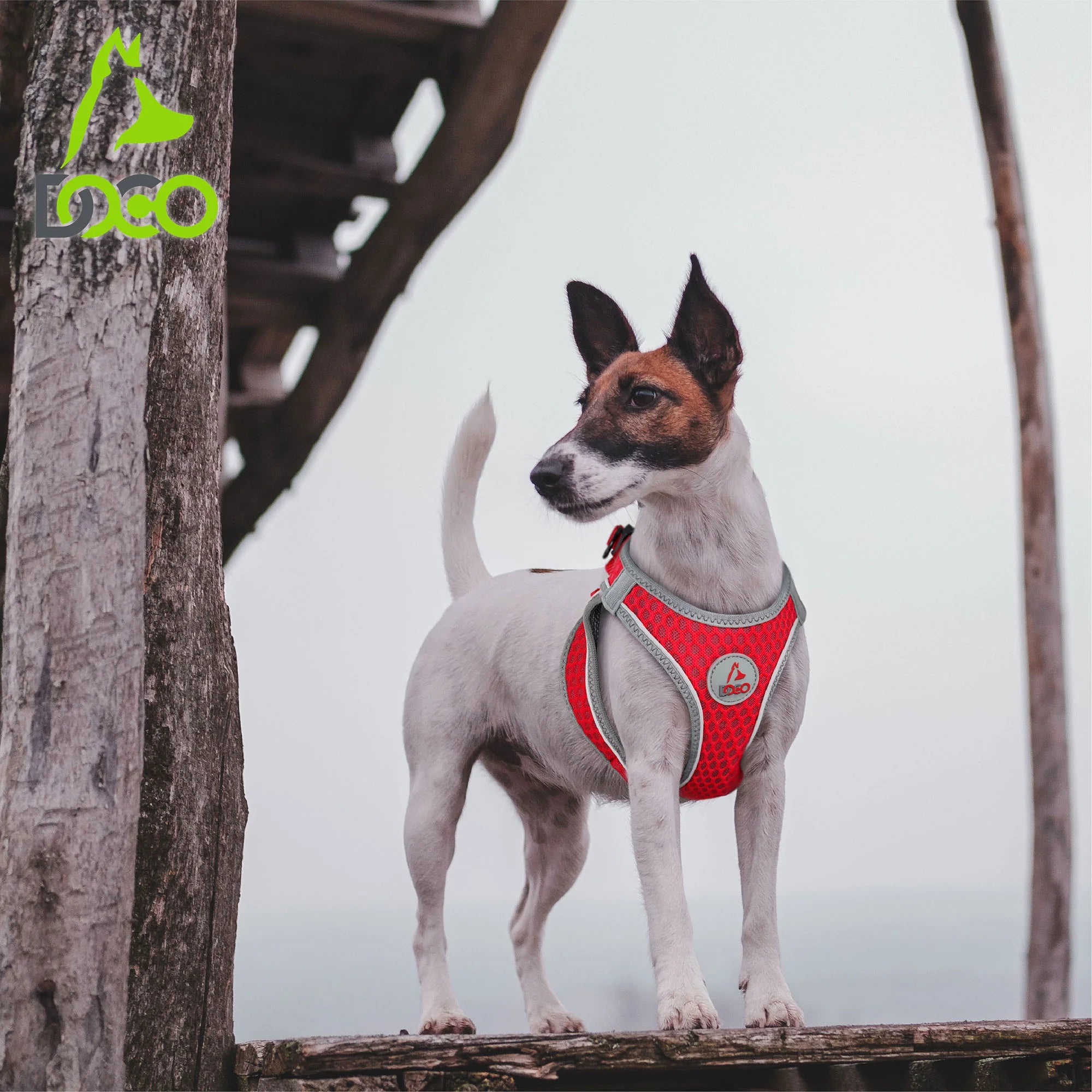 DOCO® NET Mesh Sport Harness Small-37-40cm / 3-4.5kg-Safety Orange