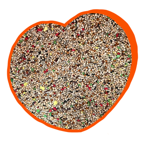 Duvo Budgie Mix 20kg