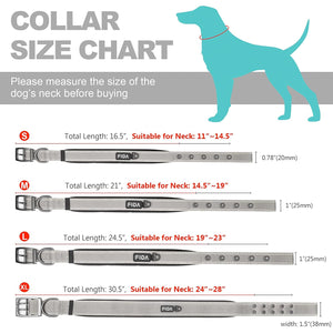 Fida Heavy Duty Dog Collar - Medium - yellow