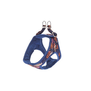 Kami Harness Small – Blue