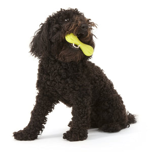 Westpaw Design Hurley Dog Bone - tangerine - Small