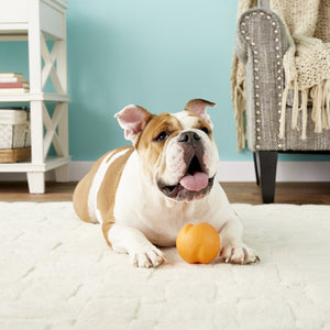 Westpaw Design Jive Dog Ball - aqua - Large