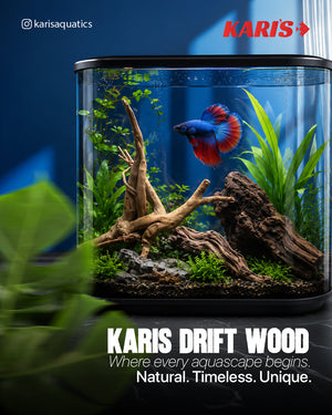 Karis Decorative Drift Wood-5kg