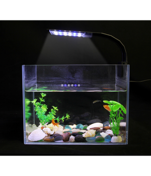 Karis Quanlong Ultra Thin LED Aquarium Clamp Lamb 6W, 110-220V 50-60Hz