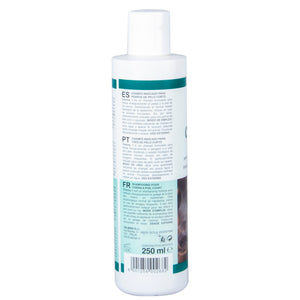 Padovan Charmy 1 Shampoo 250ML