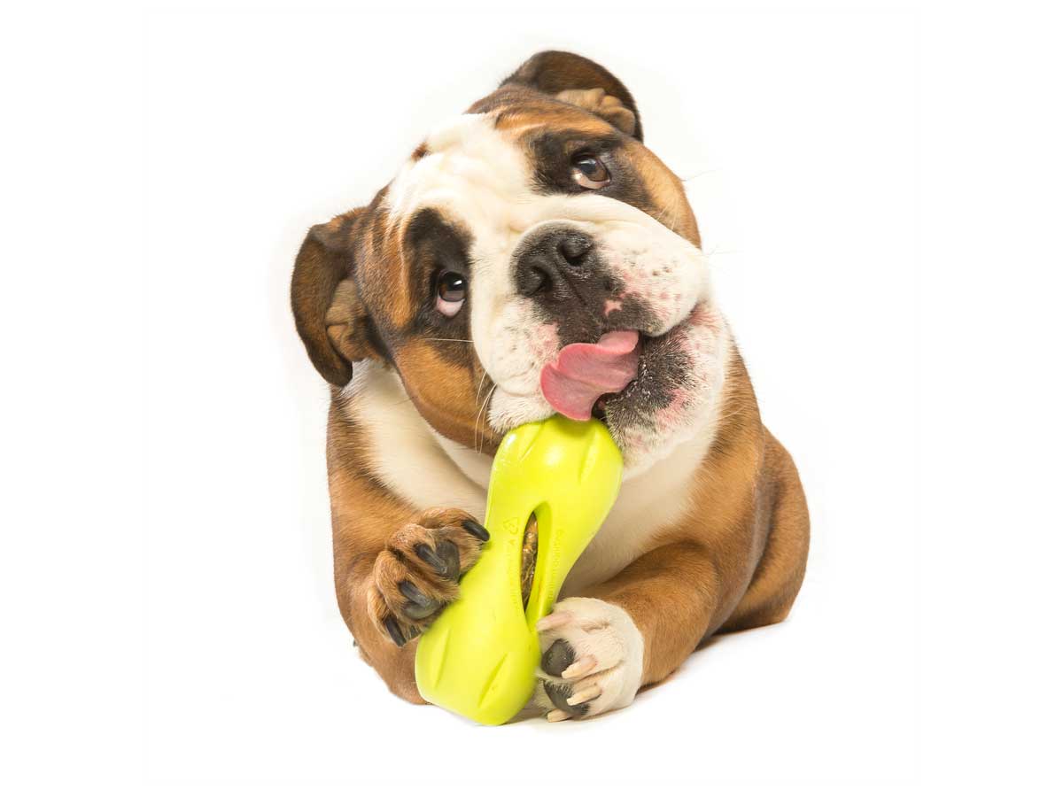 Qwizl Treat Toy - small - granny-smith
