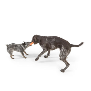 Rumpus Chew Toy - small - tangerine