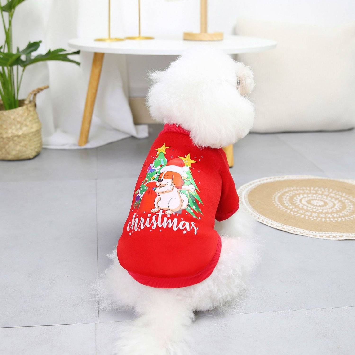Seasopet X-mas Dress 35x47cm - Medium