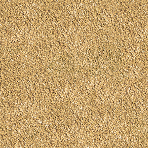 Sera Betta Granules 50 ml