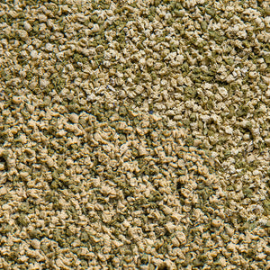Sera Vipagran Granules 100ml