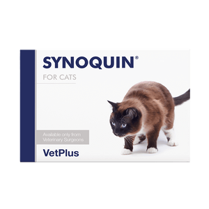Synoquin Cat Capsule