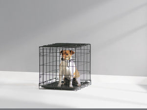 Savic Collapsible Cottage Dog Crate - 61CM