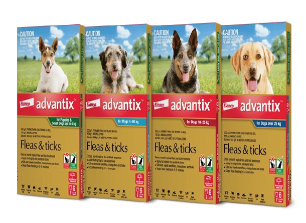 Advantix spot on for Dogs 10-25kg - Shopivet.com