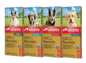 Advantix spot on for Dogs 10-25kg - Shopivet.com