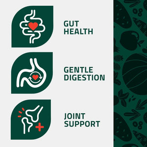 Arden Grange Daily All Breeds Adult Fresh Chicken & Rice Dry Dog Food - 2kg