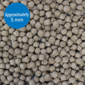 API Large Pellets Cichlid Fish Food, 7.1 OZ