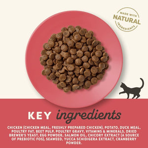 Applaws Chicken with Duck Adult Dry Cat Food - 2kg - Shopivet.com