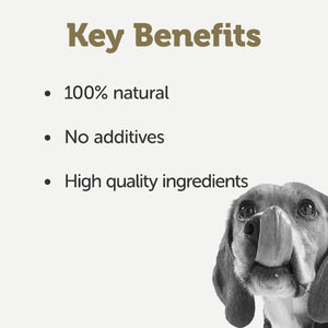 Applaws Taste Toppers in Broth Chicken with Ham & Vegetables Wet Dog Food 156g Tin - 156G - Shopivet.com