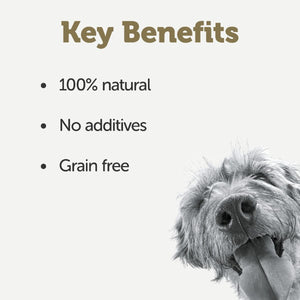 Applaws Taste Toppers Stew Beef with Vegetables Wet Dog Food 156g Tin - 156G - Shopivet.com