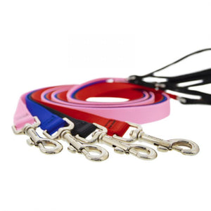 Basic Solids Padded Handle Dog Leash 4ft - pink - Shopivet.com