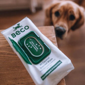 Beco Bamboo Coconut Scented Dog Wipes - Shopivet.com